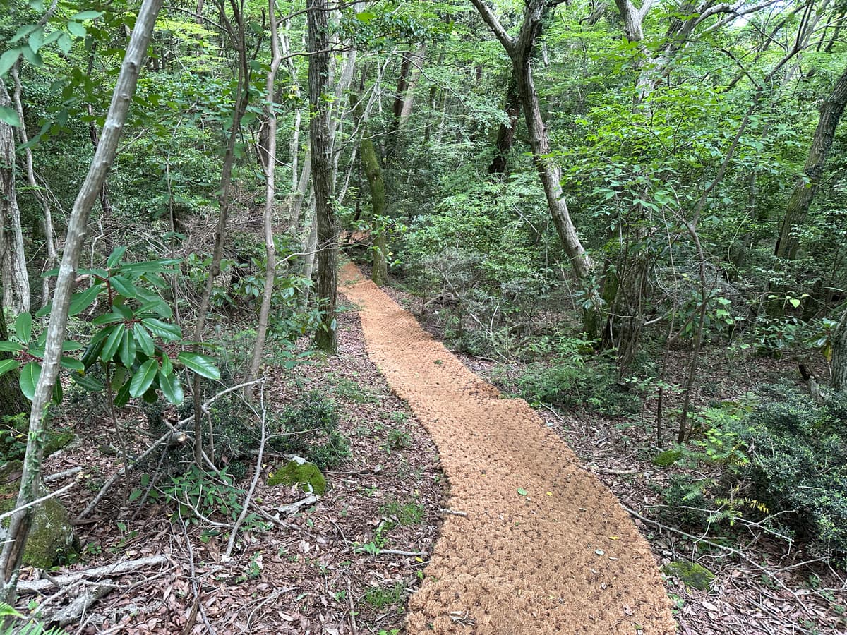 머체왓 소롱콧길 코스 (6.3km · 약 2시간 소요 · 완만한 가족 코스)