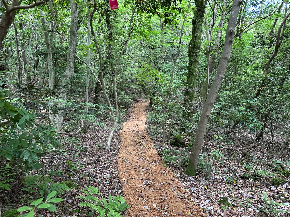 머체왓숲길 본 코스 (6.7km · 약 2시간 30분 소요)