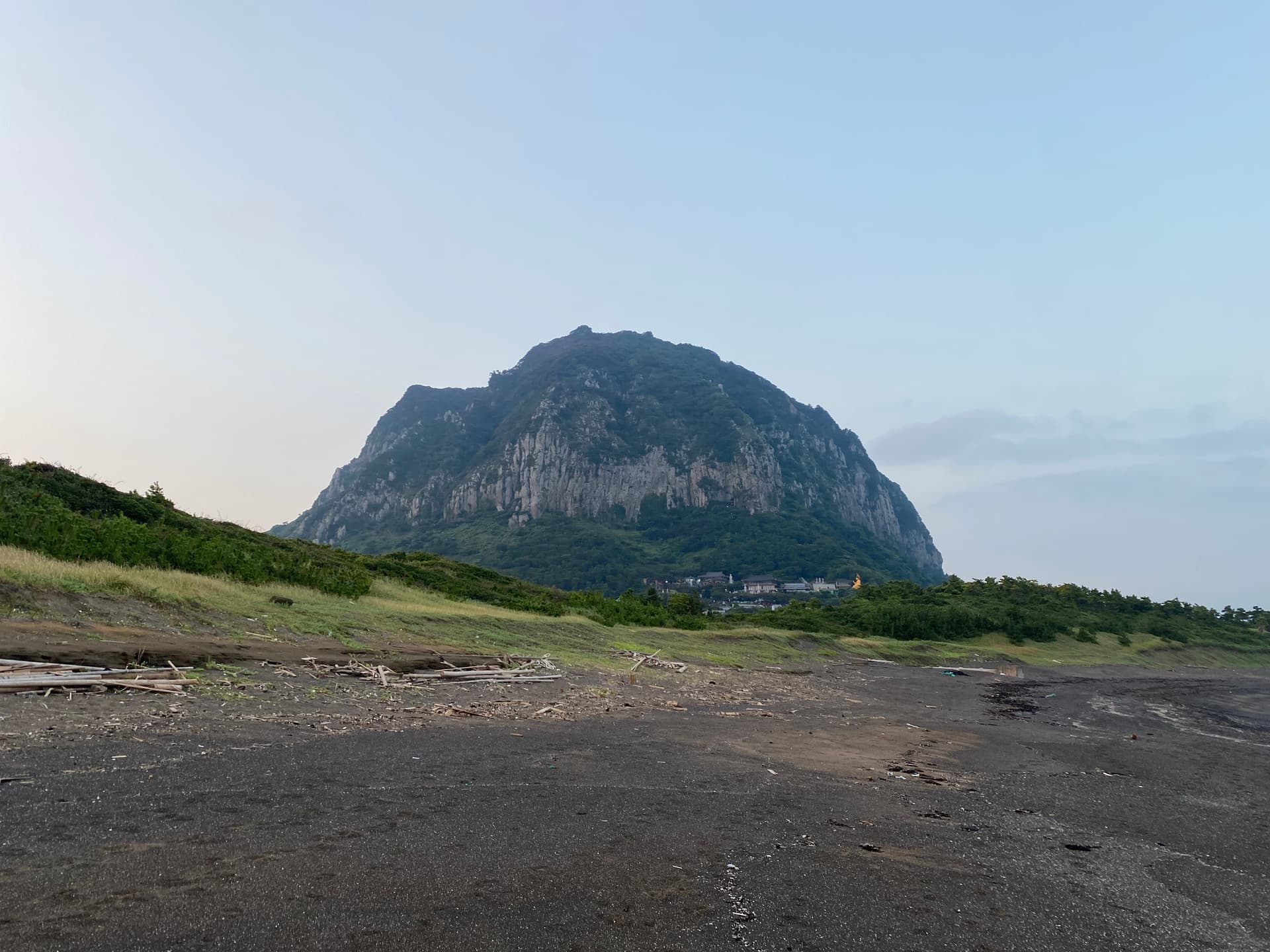 아노록사계 대표 풍경 3