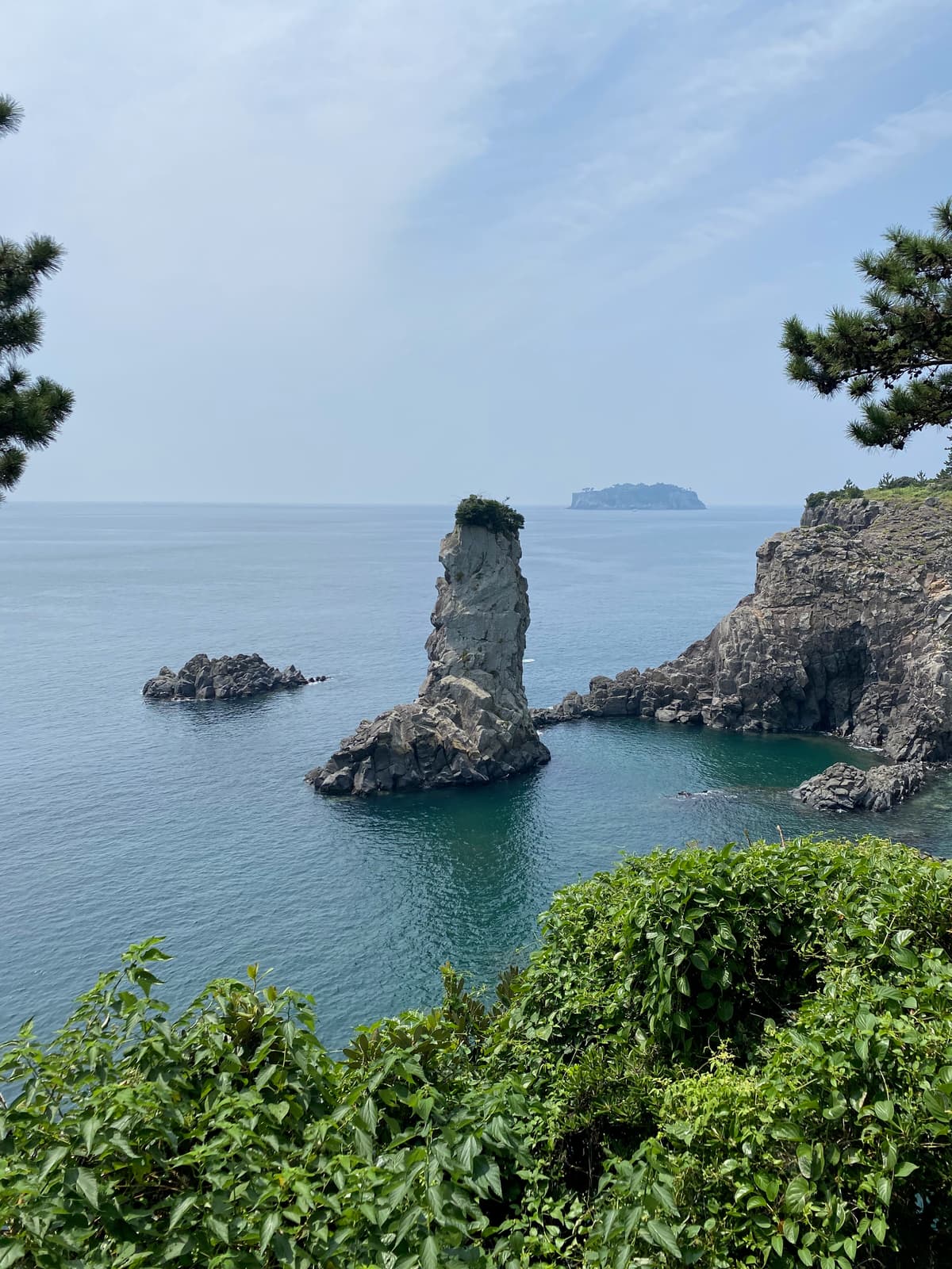 천지연폭포 난대림 야간 산책 & 새섬 새연교 해풍 테라피